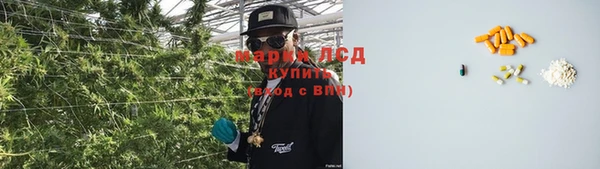 тгк Гусев