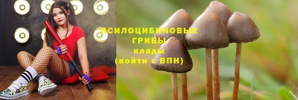 тгк Гусев