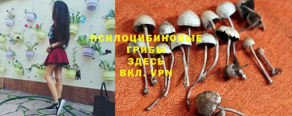 MESCALINE Гусиноозёрск