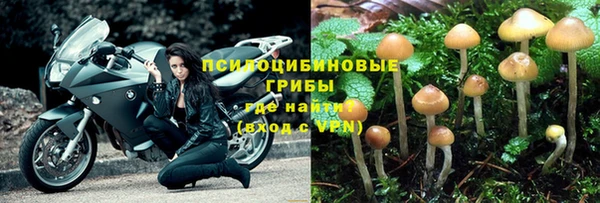 тгк Гусев