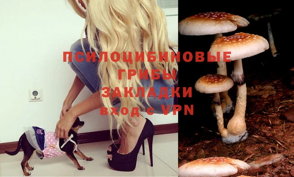 MDMA Premium VHQ Гусь-Хрустальный