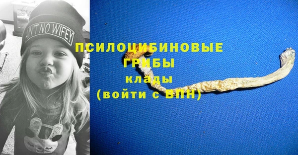 марки lsd Горняк