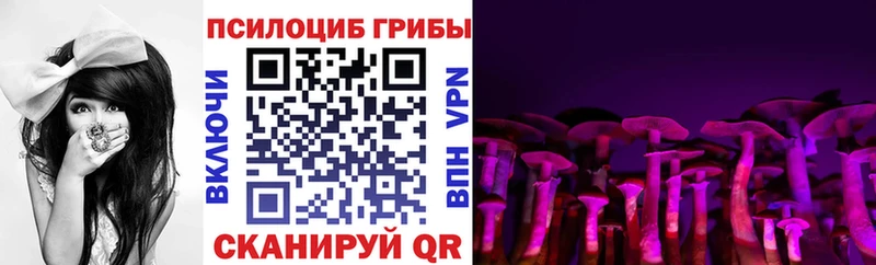 Псилоцибиновые грибы Psilocybine cubensis  цены   Старый Оскол 
