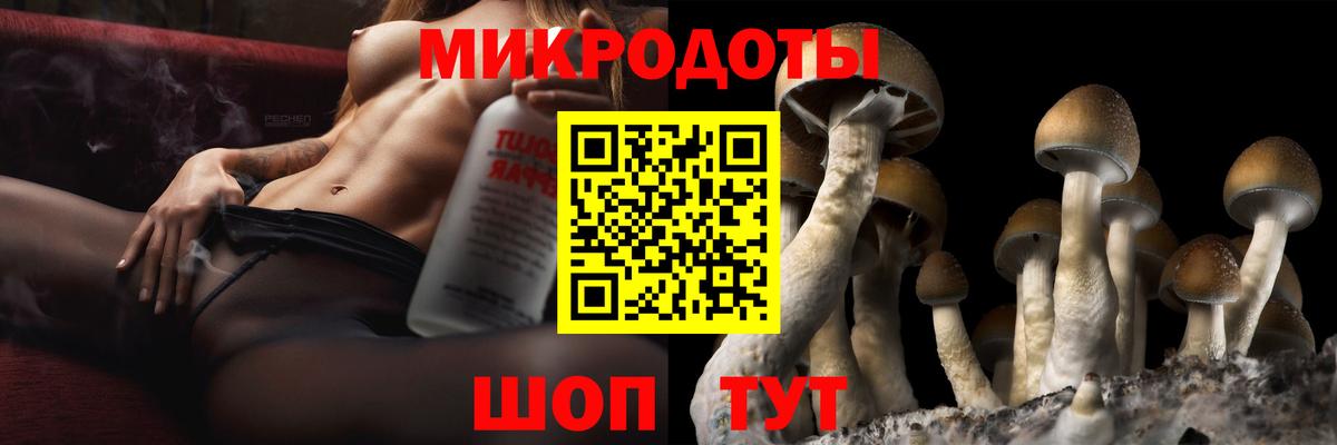 Старый Оскол  Галлюциногенные грибы Psilocybine cubensis  Вход с VPN 